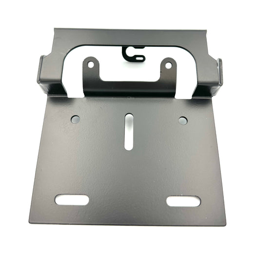 Mount for rear license plate